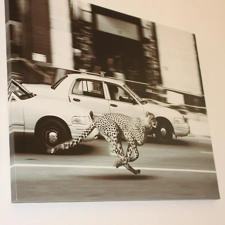 Apartment Casa Di Angelo Brunate